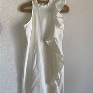 Bar III dress
